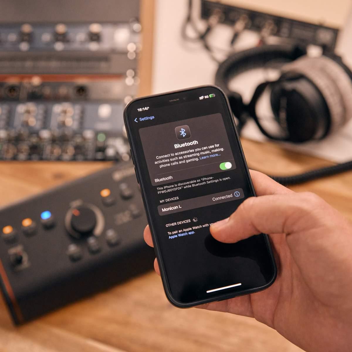 PALMER MONICON L G2 - Controller monitor attivo / passivo da studio