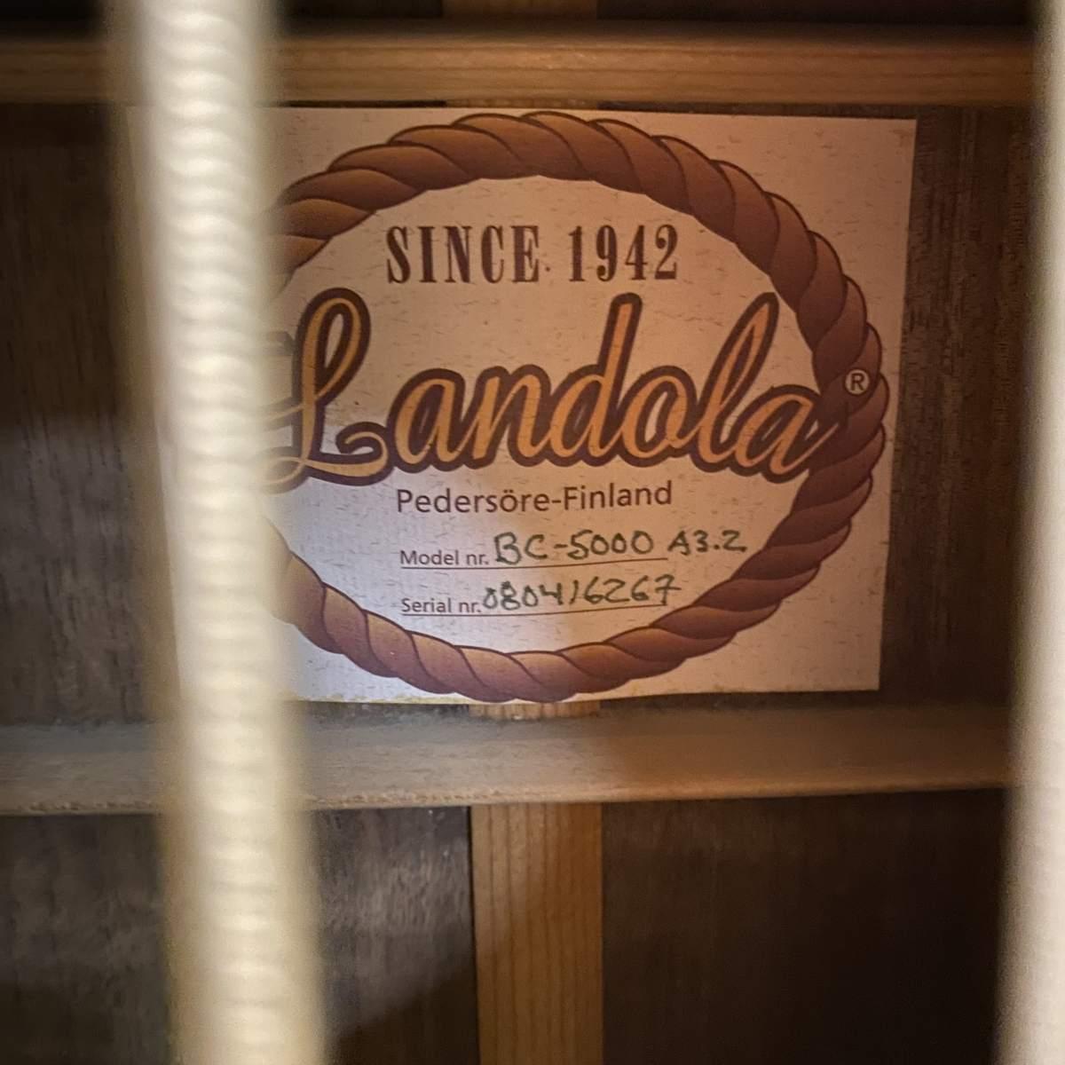 Landola basso acustico elettrificato