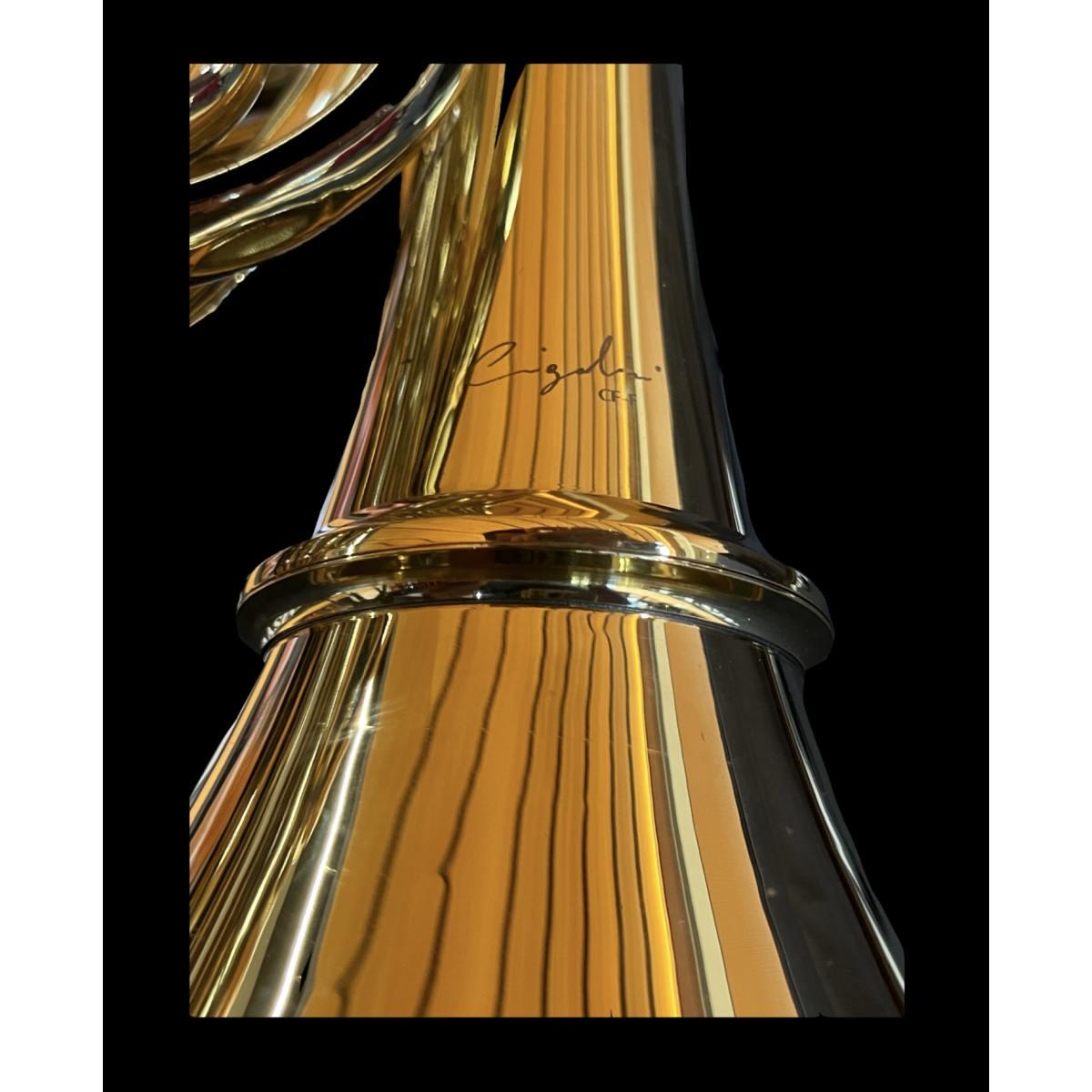 Cigalini cf-f corno in fa con custodia (b-stock)