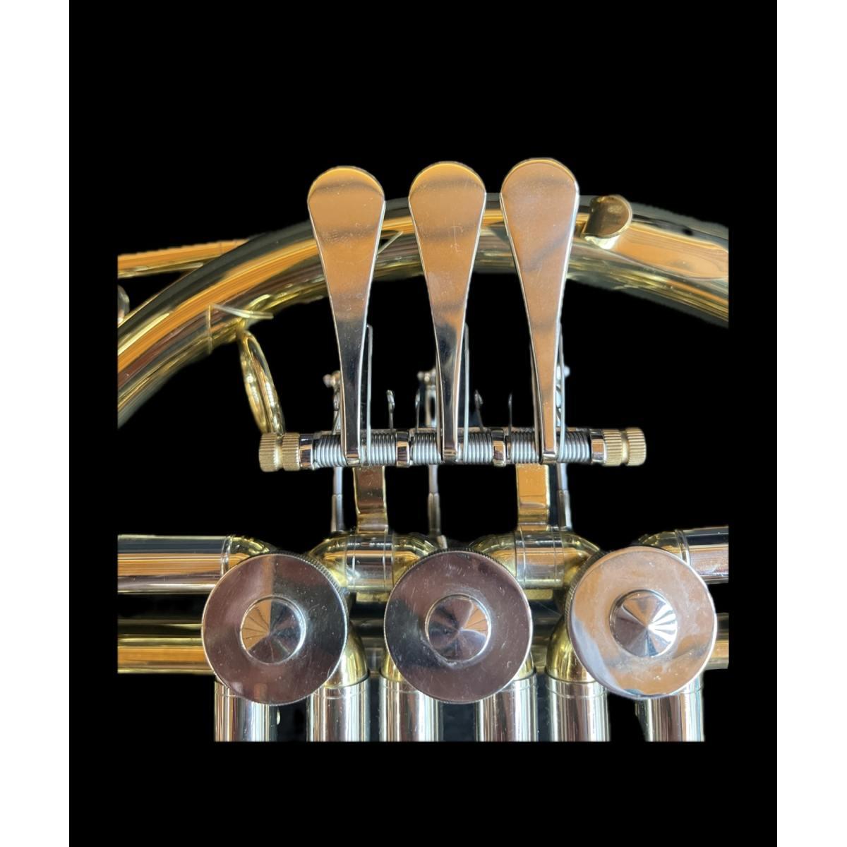 Cigalini cf-f corno in fa con custodia (b-stock)