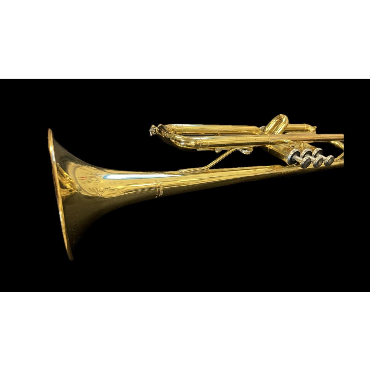 Yamaha ytr1335 tromba sib usata