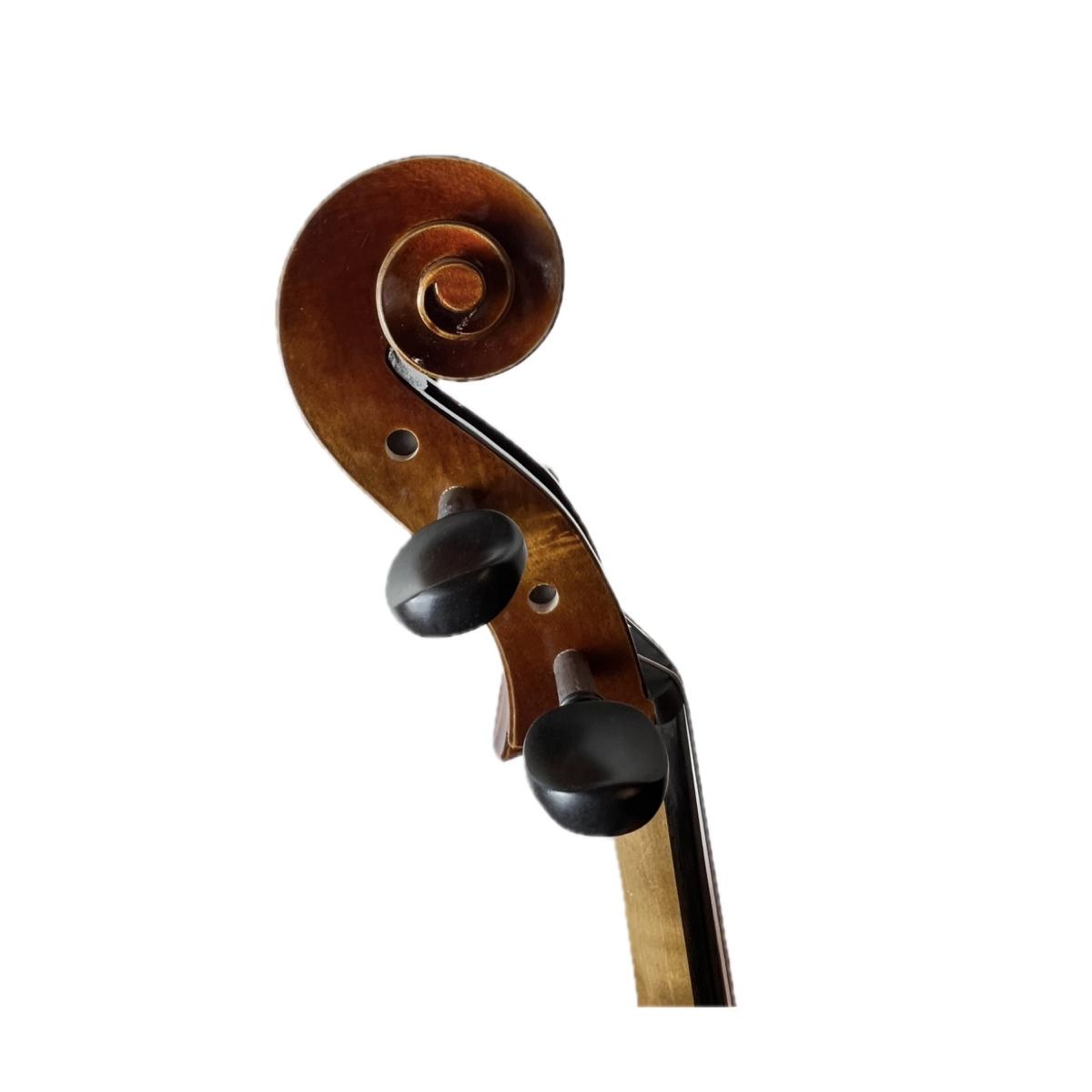 Master luthiers marini violoncello 4/4 massello