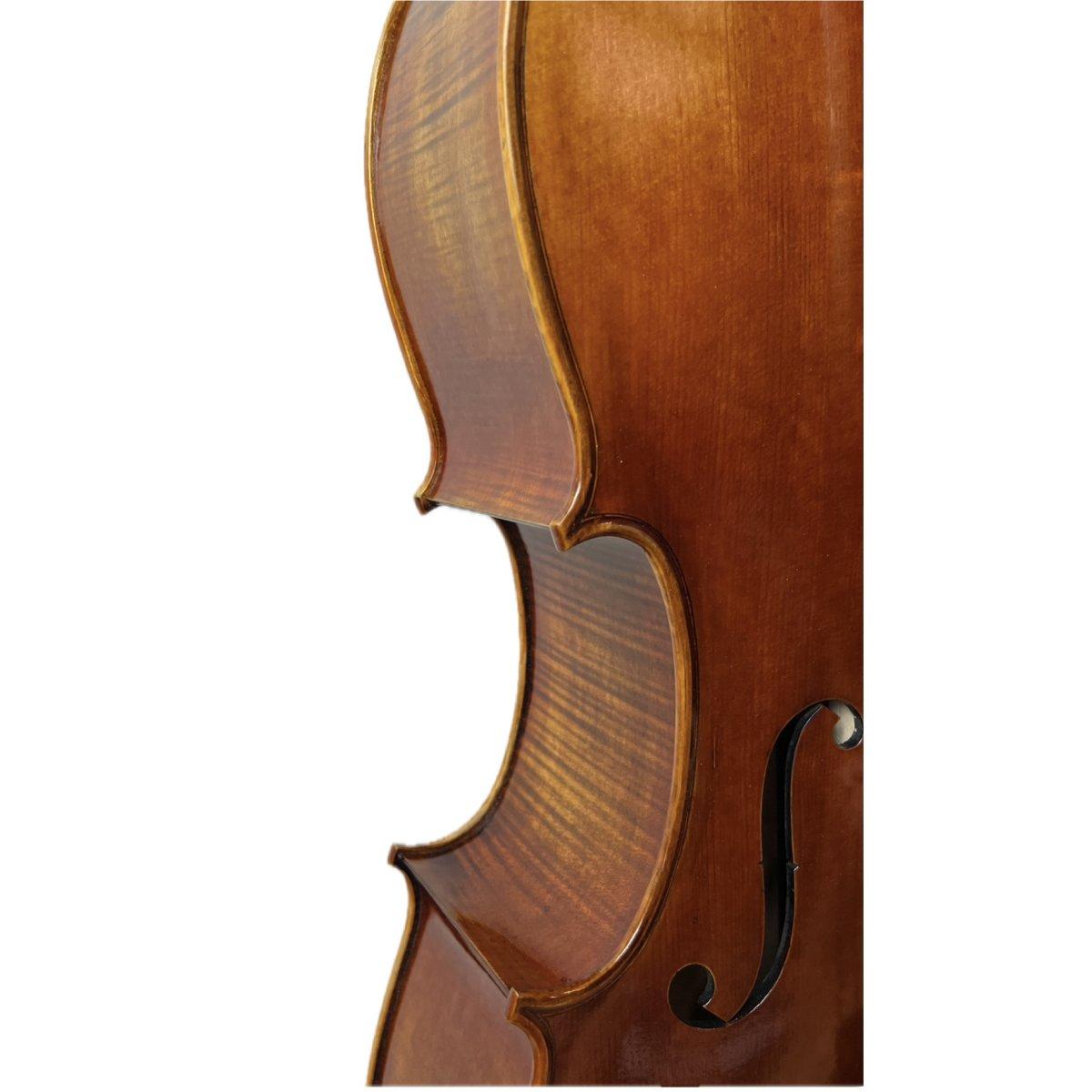 Master luthiers marini violoncello 4/4 massello
