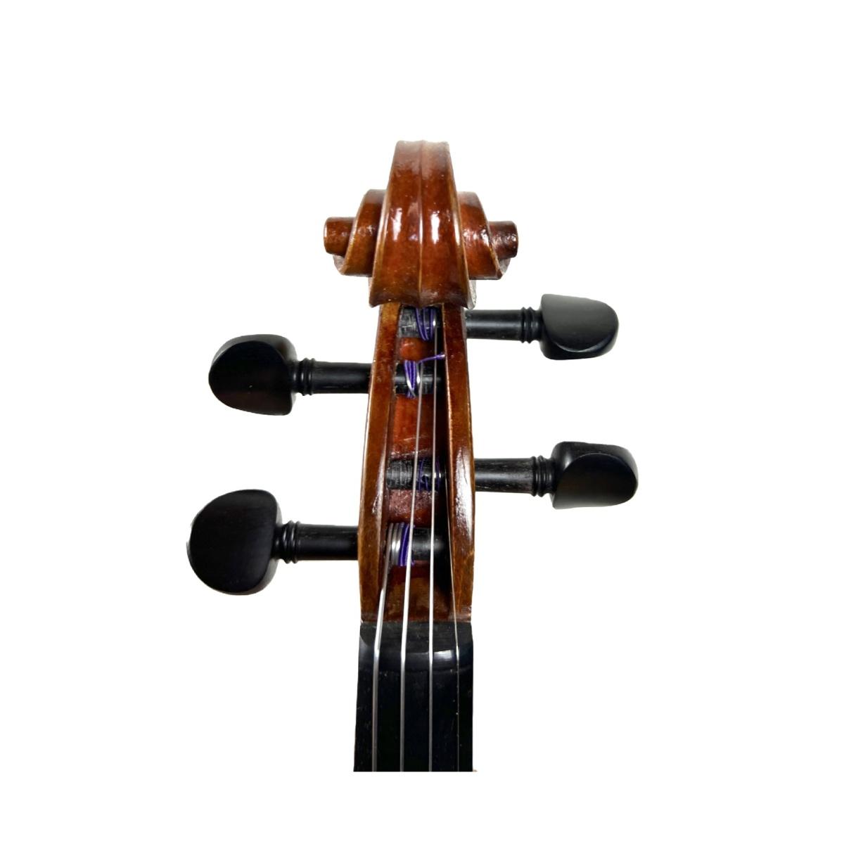 PLC MARINI VIOLINO 4/4 completo di custodia e arco