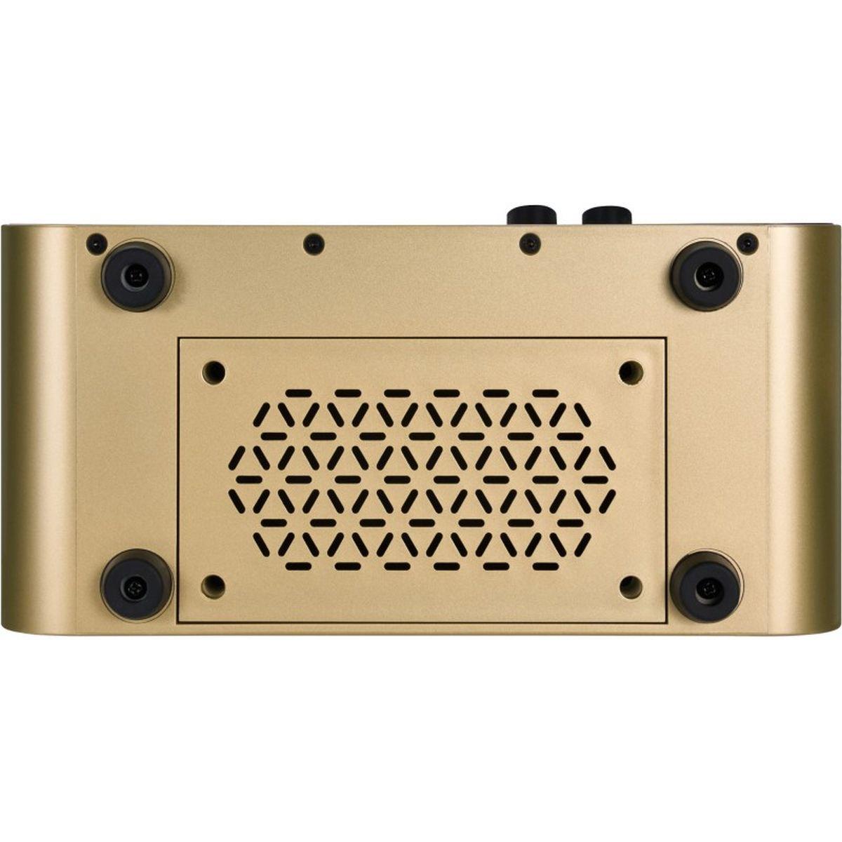 MOOER F15i Li Imperial Gold AMPLIFICATORE COMBO PER CHITARRA