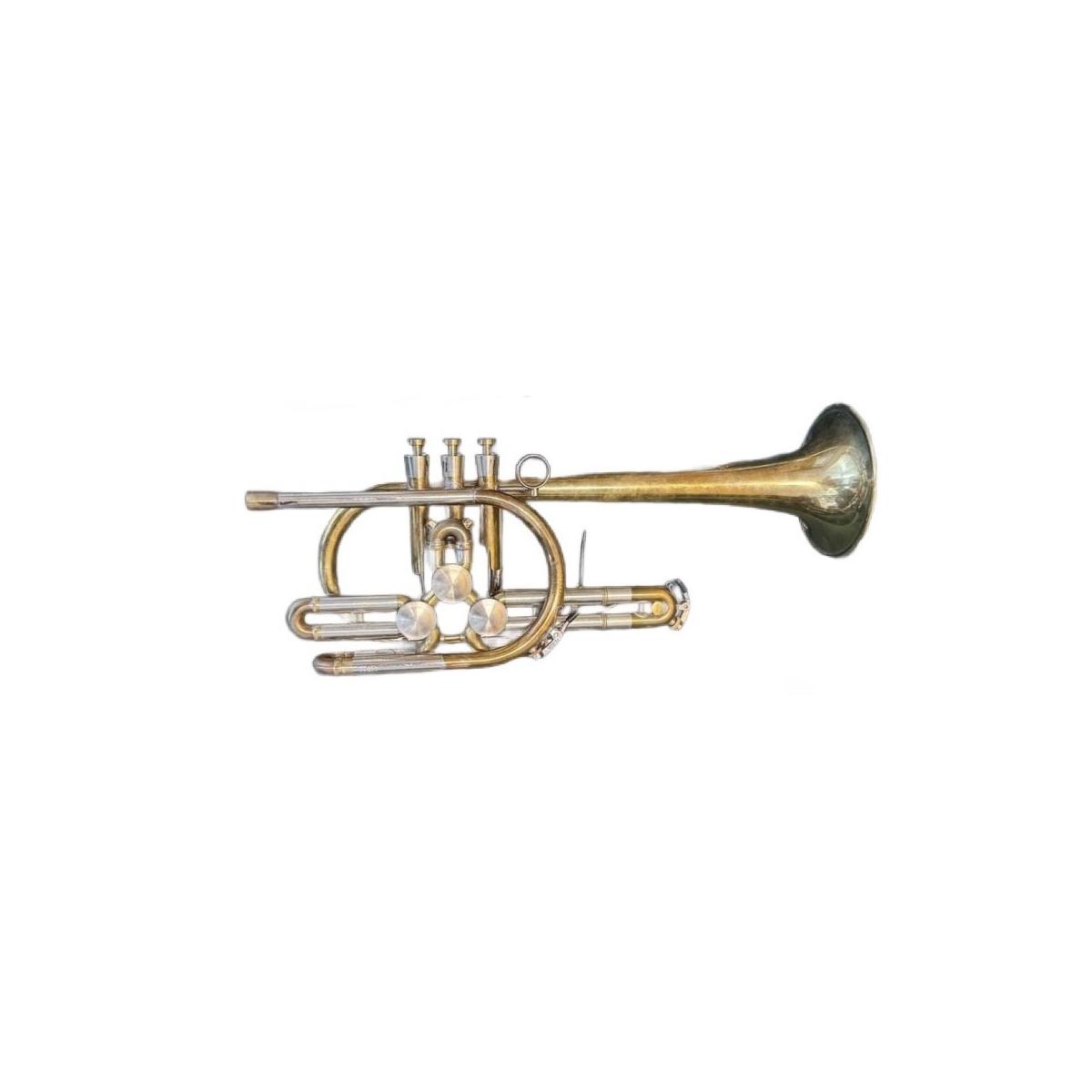 SCHAGERL RAWENI Tromba sib RAW BRASS campana dritta SCW13211