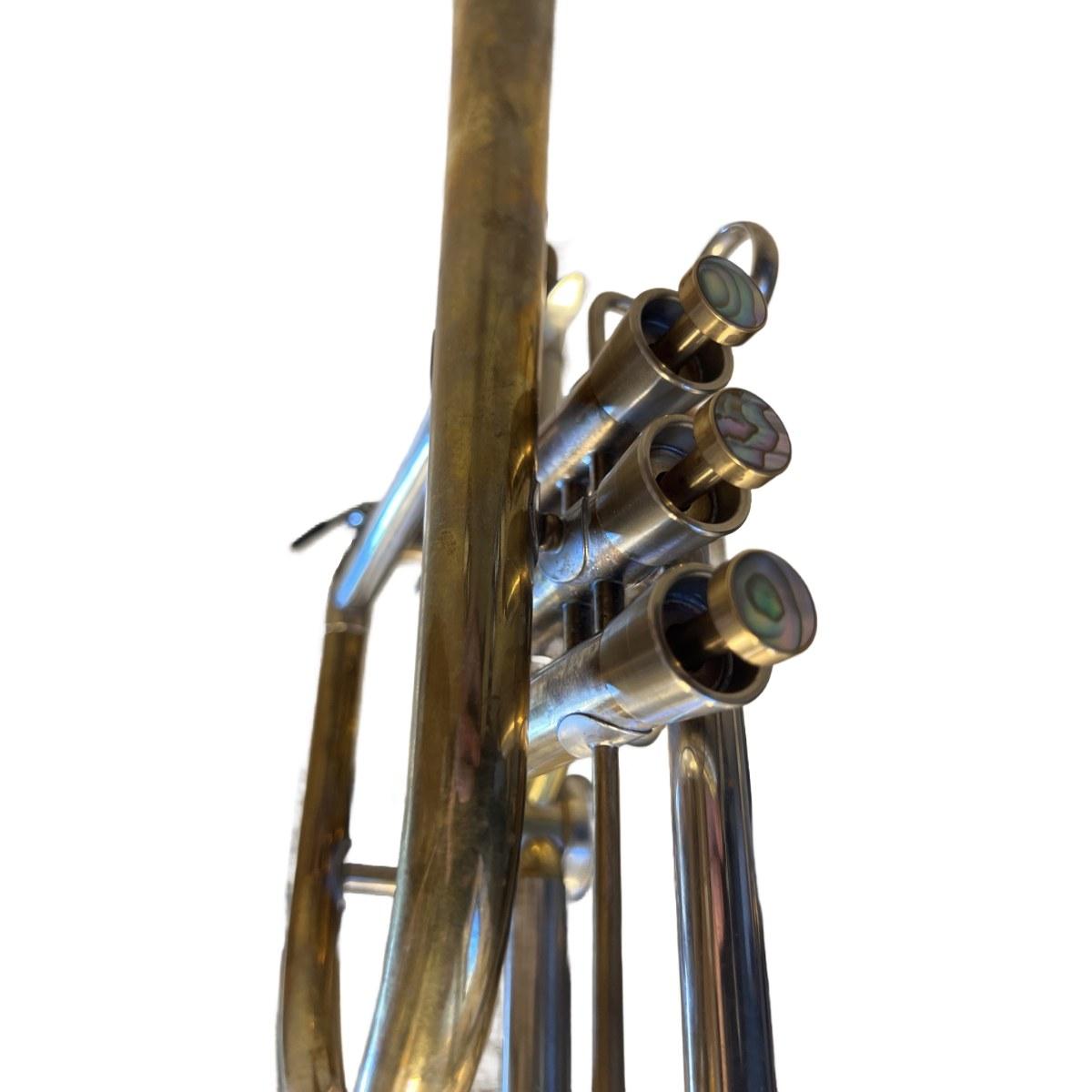 SCHAGERL RAWENI Tromba sib RAW BRASS campana dritta SCW13211