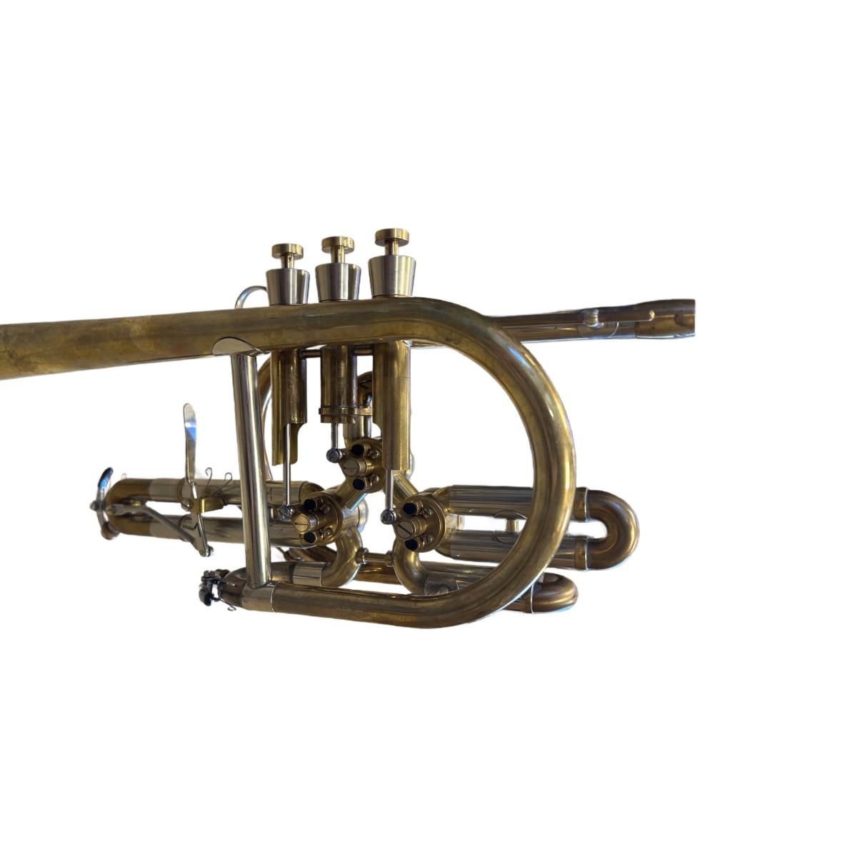 SCHAGERL RAWENI Tromba sib RAW BRASS campana dritta SCW13211