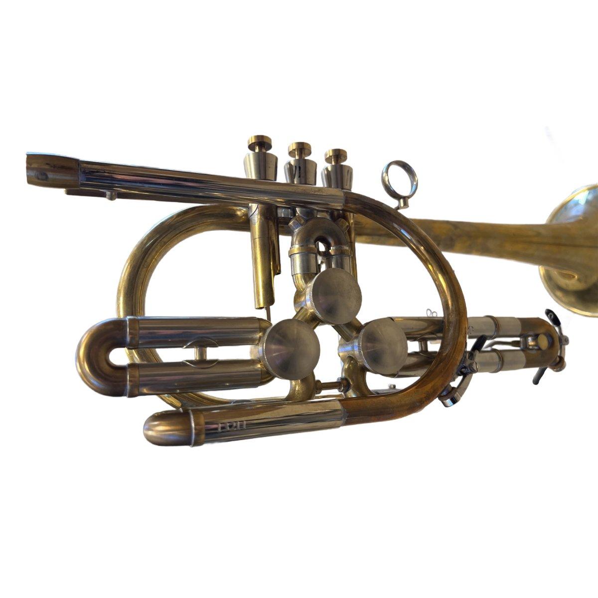 SCHAGERL RAWENI Tromba sib RAW BRASS campana dritta SCW13211
