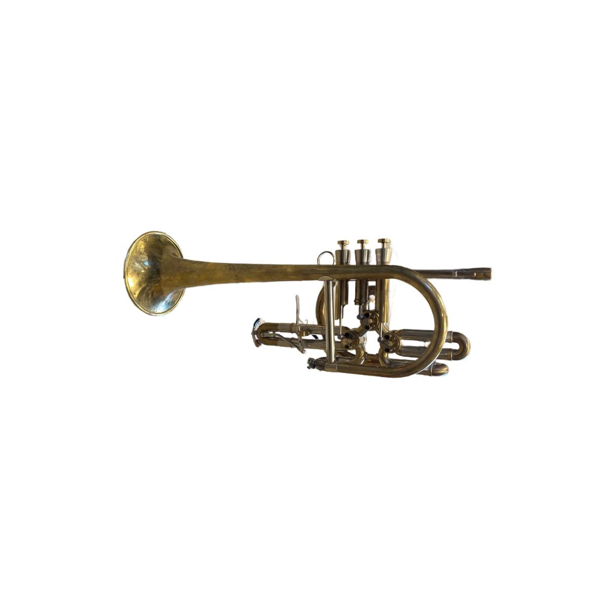 SCHAGERL RAWENI Tromba sib RAW BRASS campana dritta SCW13211