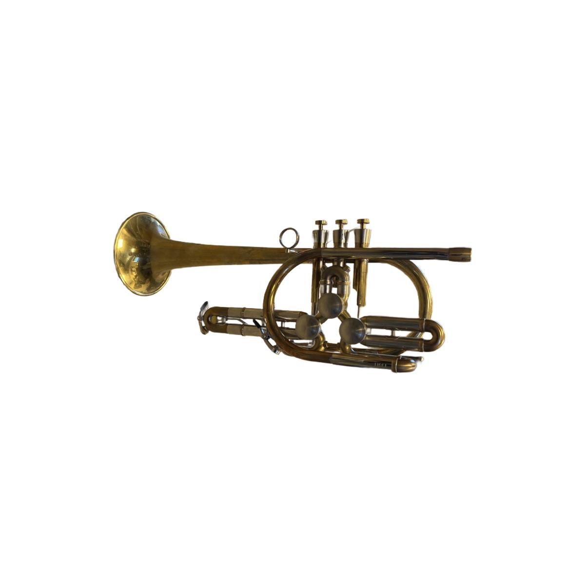 SCHAGERL RAWENI Tromba sib RAW BRASS campana dritta SCW13211