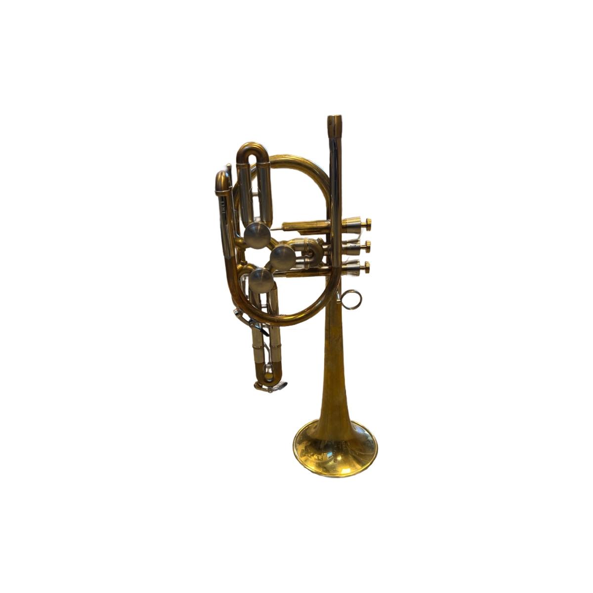 SCHAGERL RAWENI Tromba sib RAW BRASS campana dritta SCW13211
