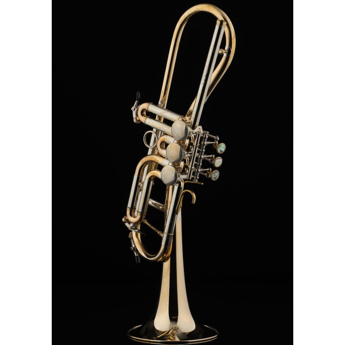 SCHAGERL GANSCH HORN HEAVY RAW BRASS TROMBA IN Bb SN SCY 13822