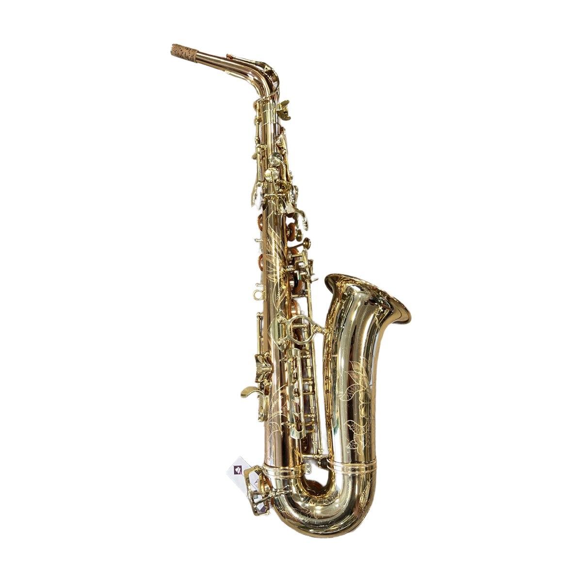 Schagerl superior a-1gn sax alto (usato)