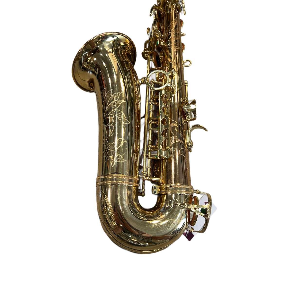 Schagerl superior a-1gn sax alto (usato)