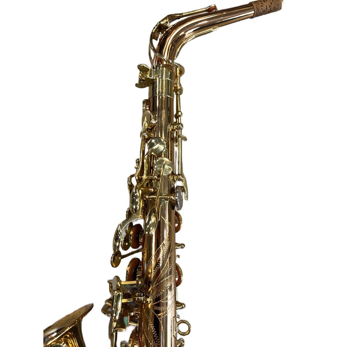 Schagerl superior a-1gn sax alto (usato)