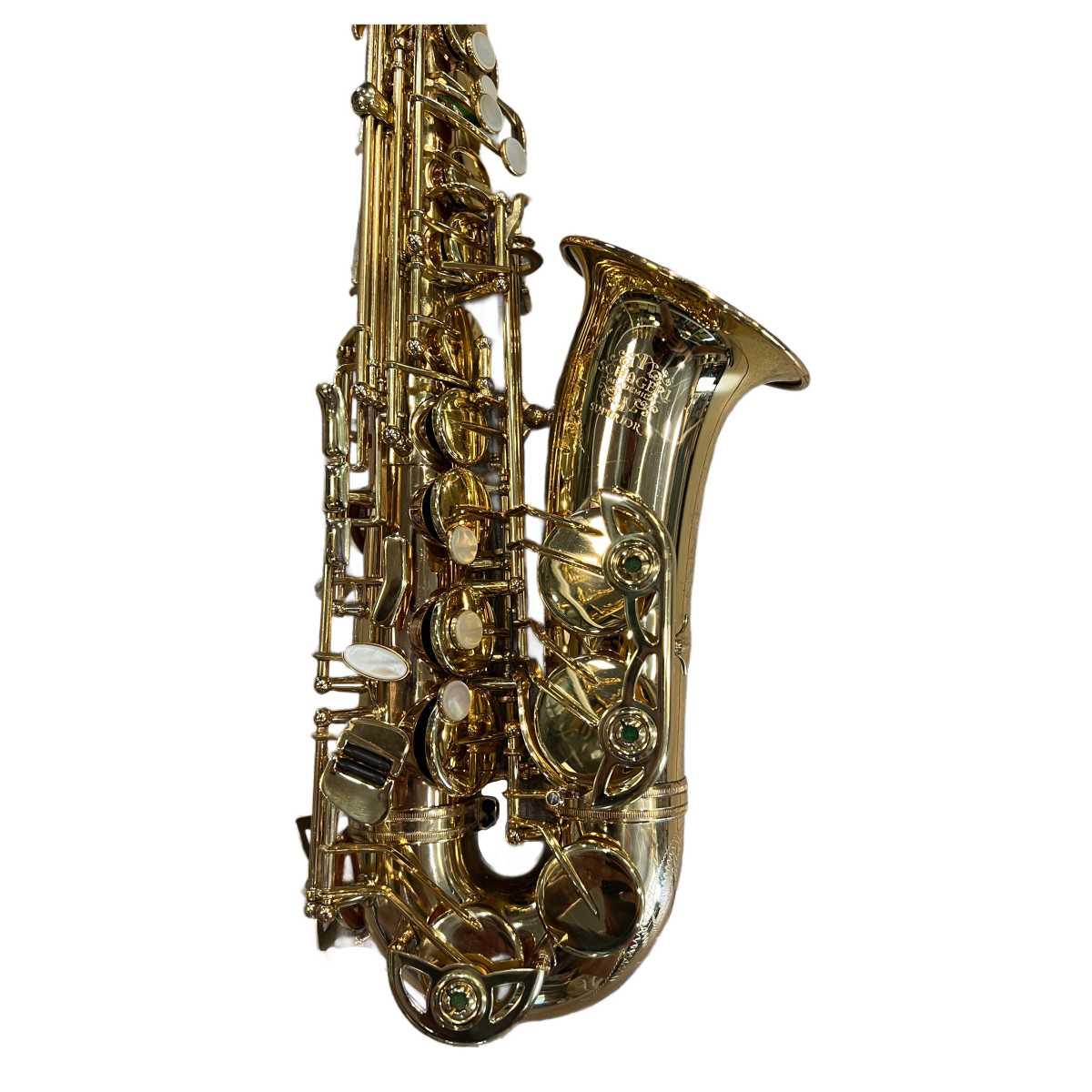 Schagerl superior a-1gn sax alto (usato)