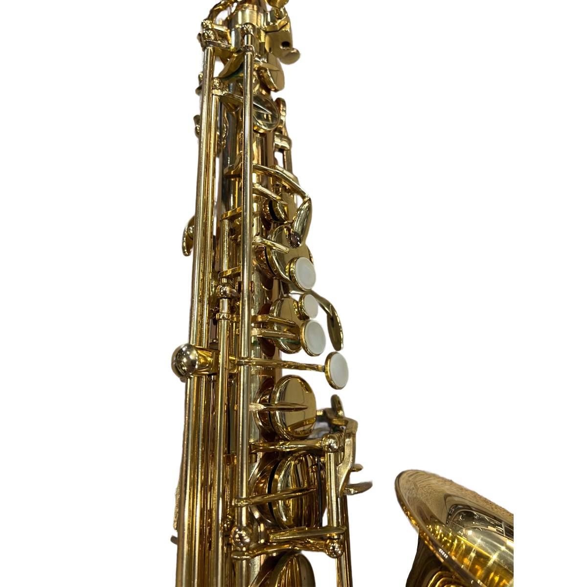 Schagerl superior a-1gn sax alto (usato)