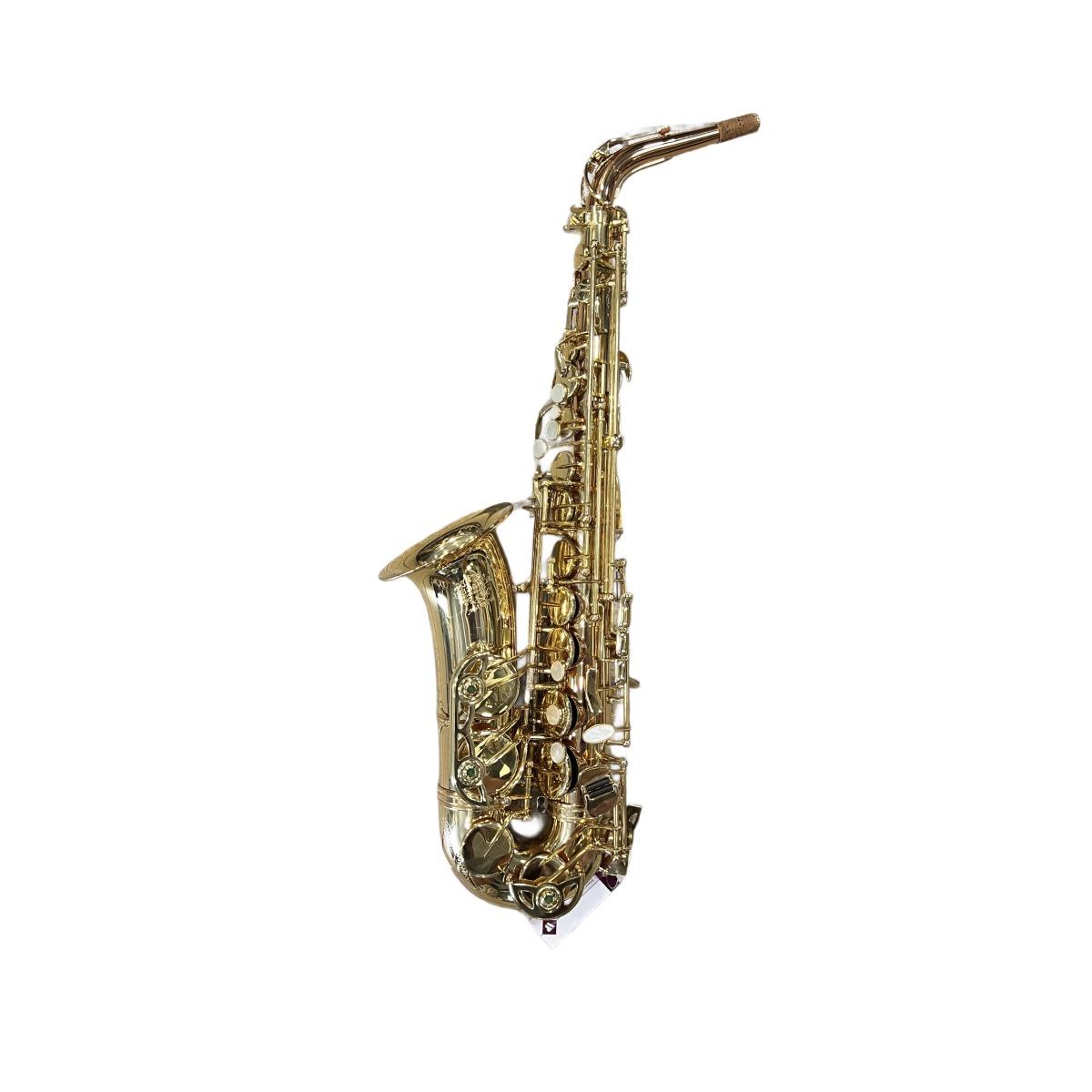 Schagerl superior a-1gn sax alto (usato)