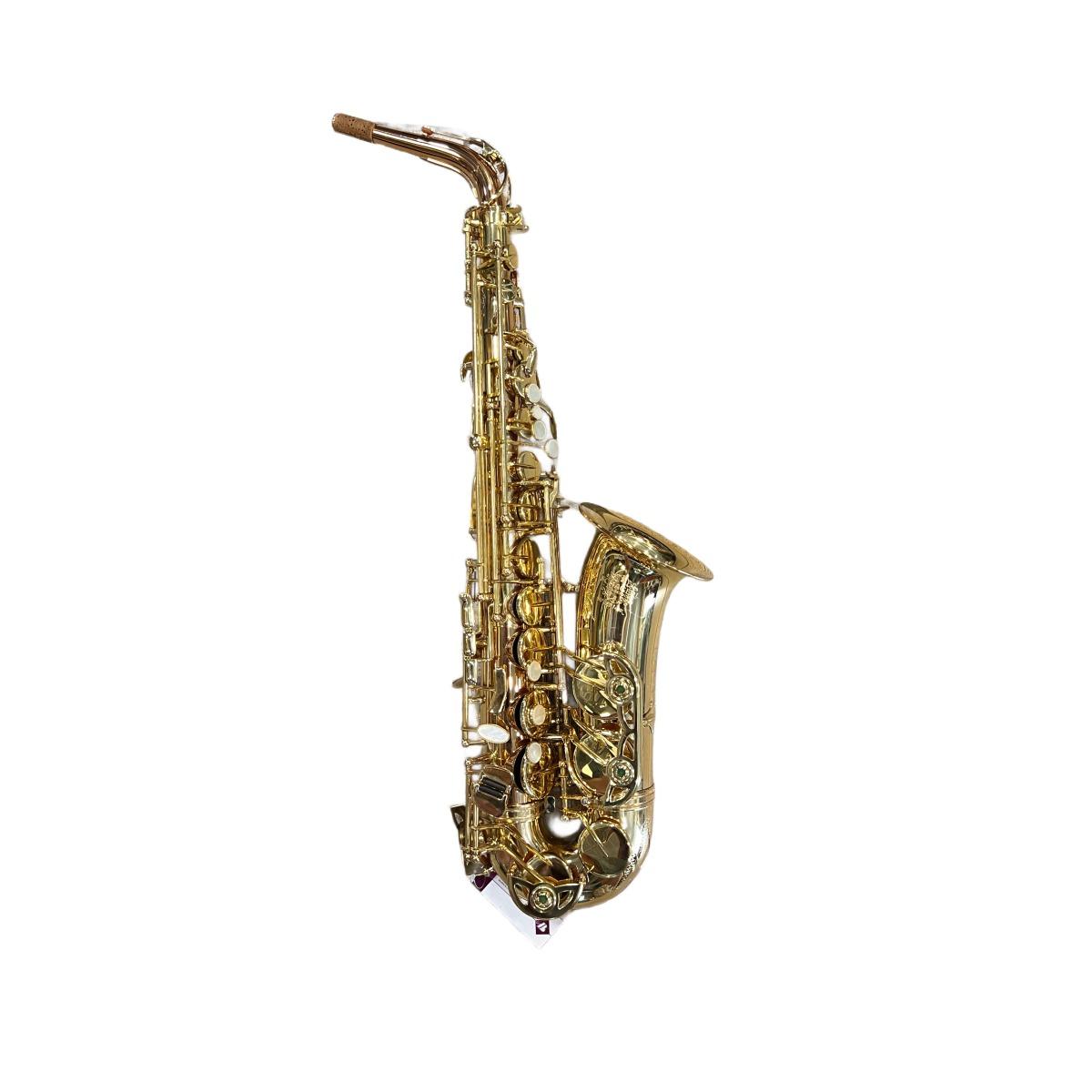 Schagerl superior a-1gn sax alto (usato)