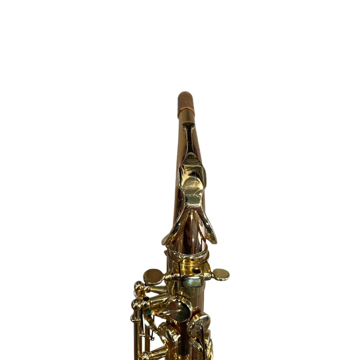 Schagerl superior a-1gn sax alto (usato)