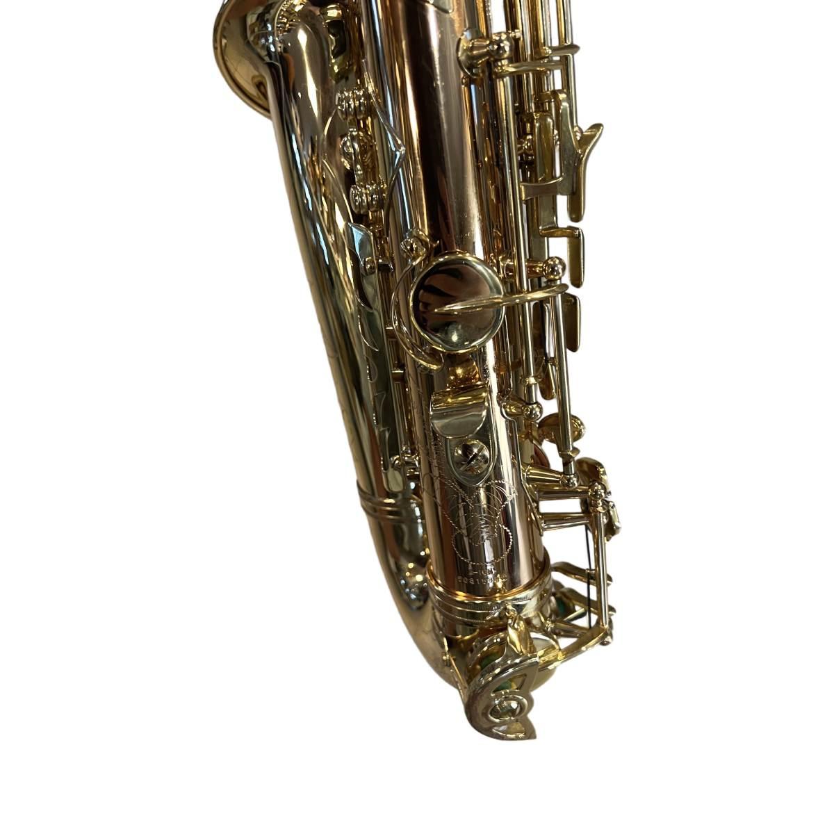 Schagerl superior a-1gn sax alto (usato)