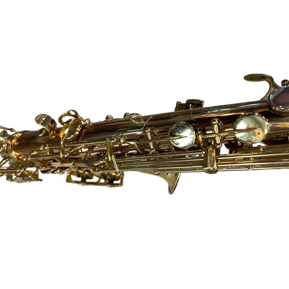 Schagerl superior a-1gn sax alto (usato)
