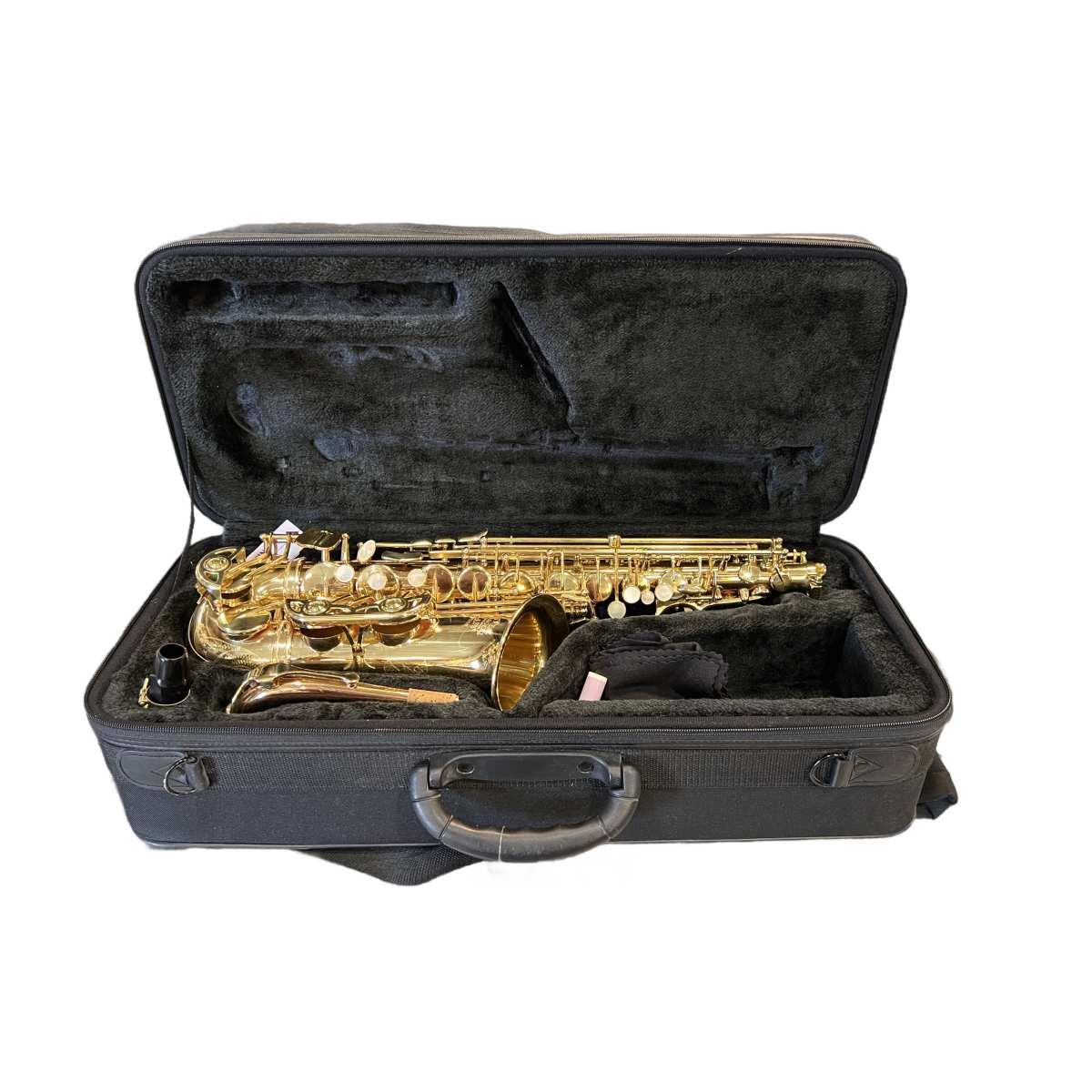 Schagerl superior a-1gn sax alto (usato)