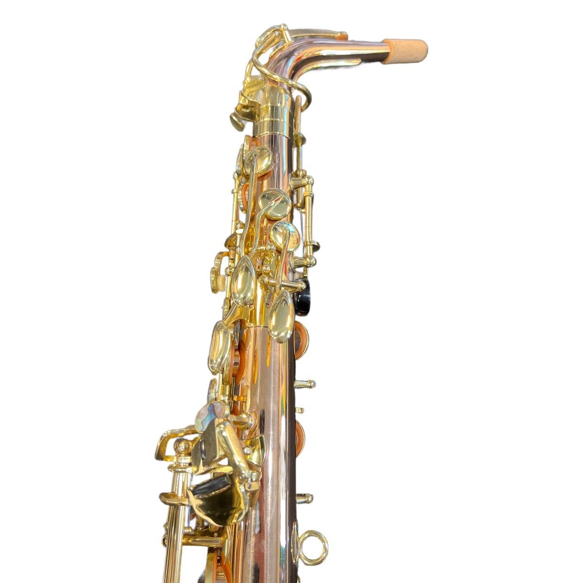 BBRASS GV SAX ALTO Fosforo/bronzo / camp.rame bianco raw - USATO