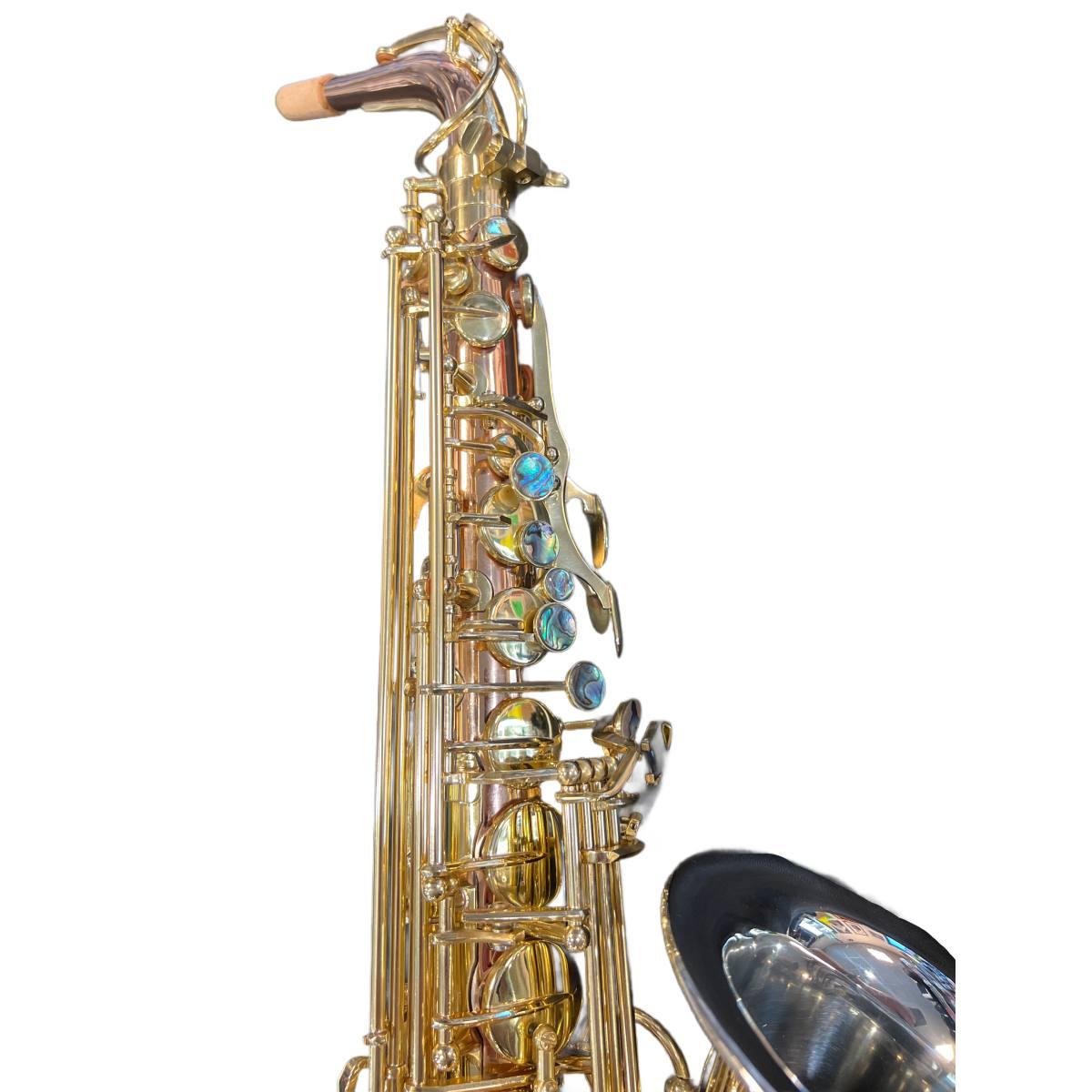 BBRASS GV SAX ALTO Fosforo/bronzo / camp.rame bianco raw - USATO