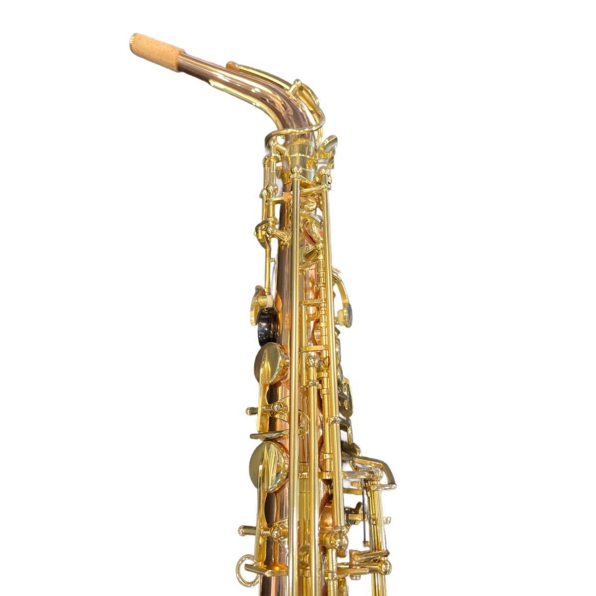 BBRASS GV SAX ALTO Fosforo/bronzo / camp.rame bianco raw - USATO