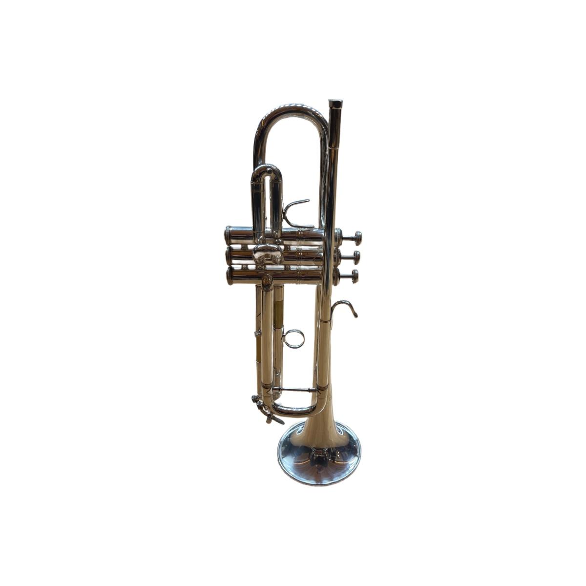 Bach vbs 1s tromba bach sib 595604 - usato