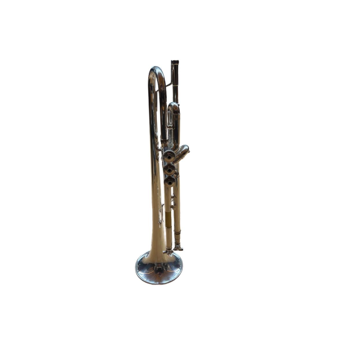 Bach vbs 1s tromba bach sib 595604 - usato
