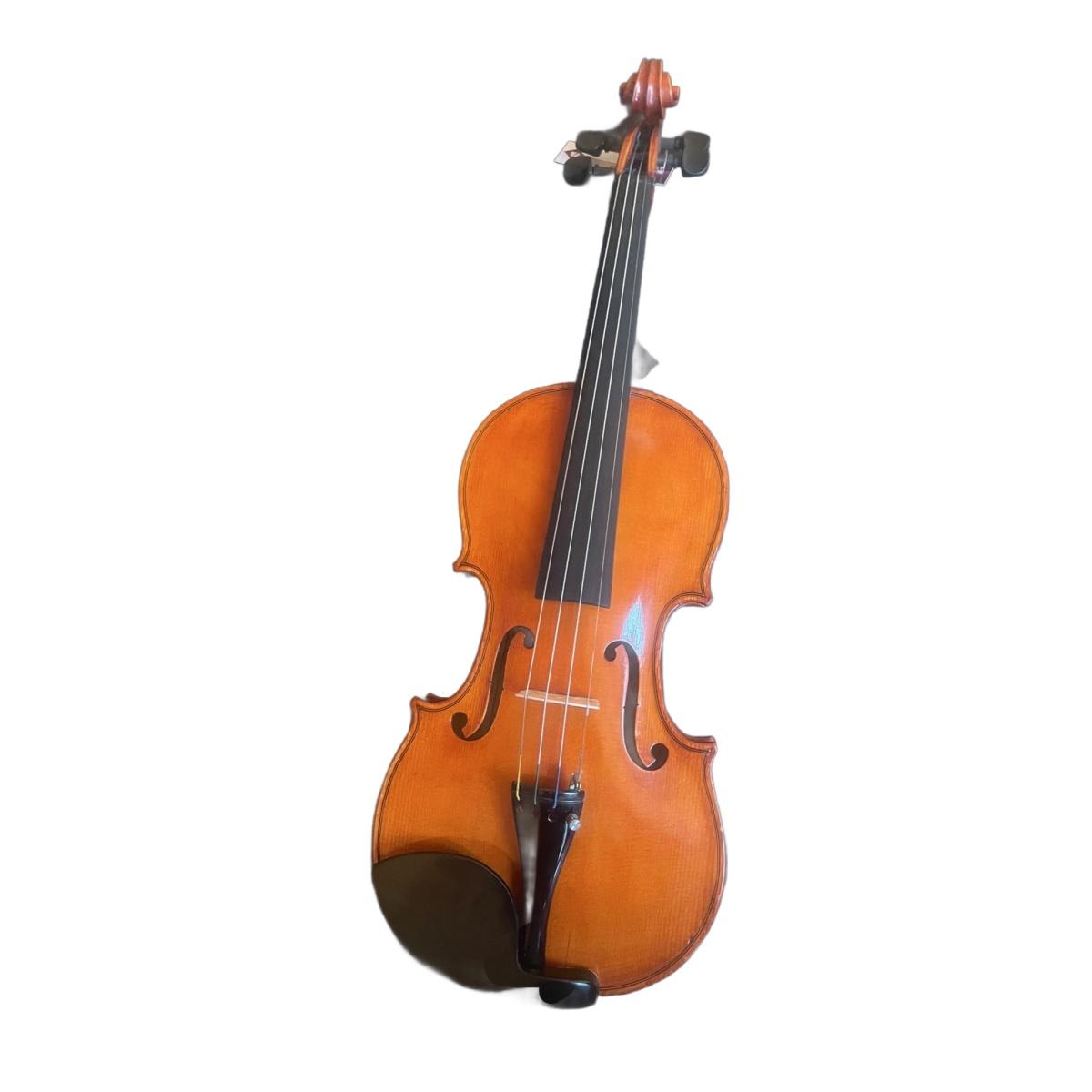 Benito tosello violino liuteria certificato