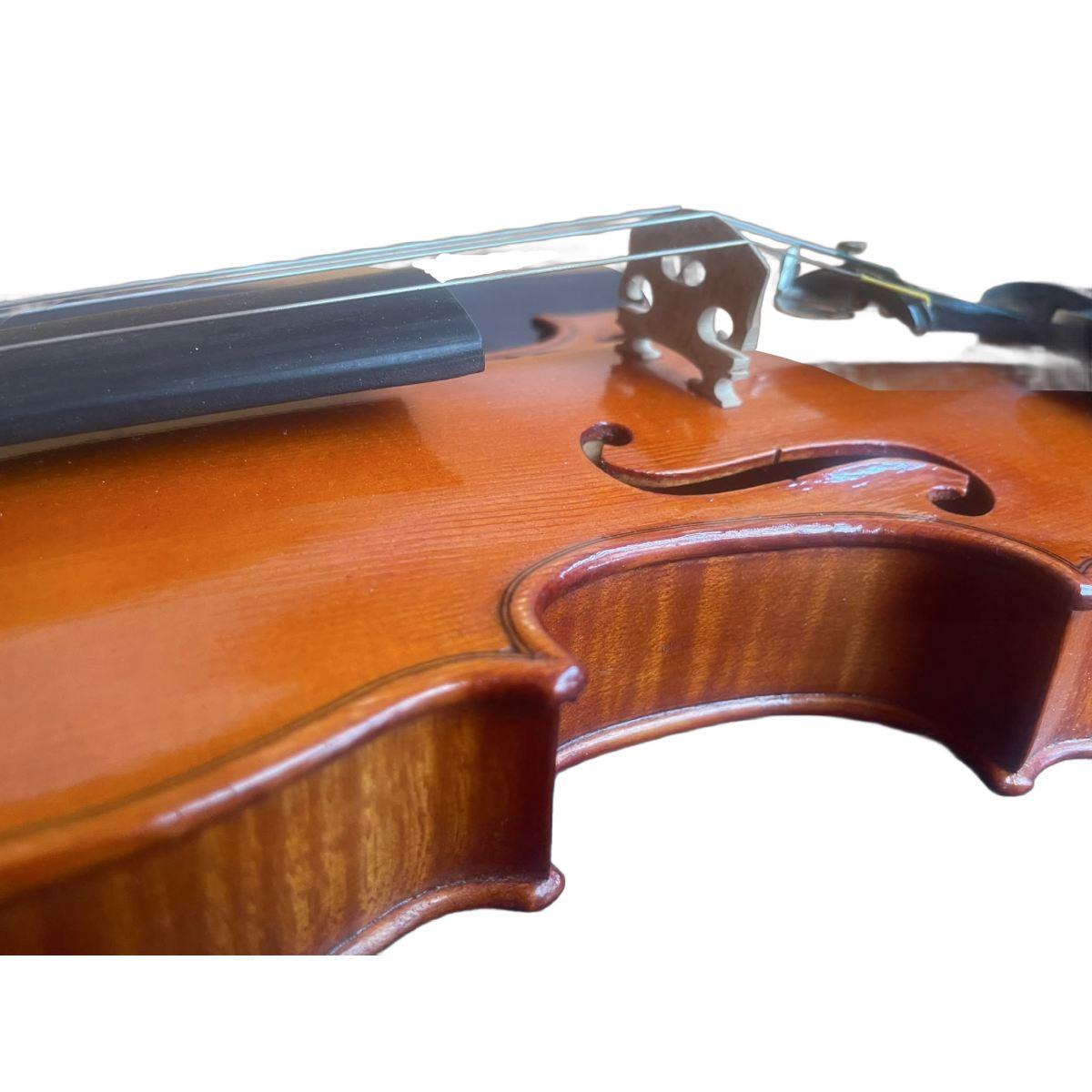 Benito tosello violino liuteria certificato