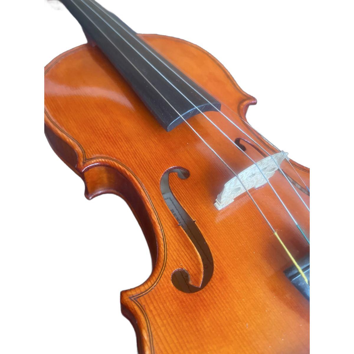 Benito tosello violino liuteria certificato