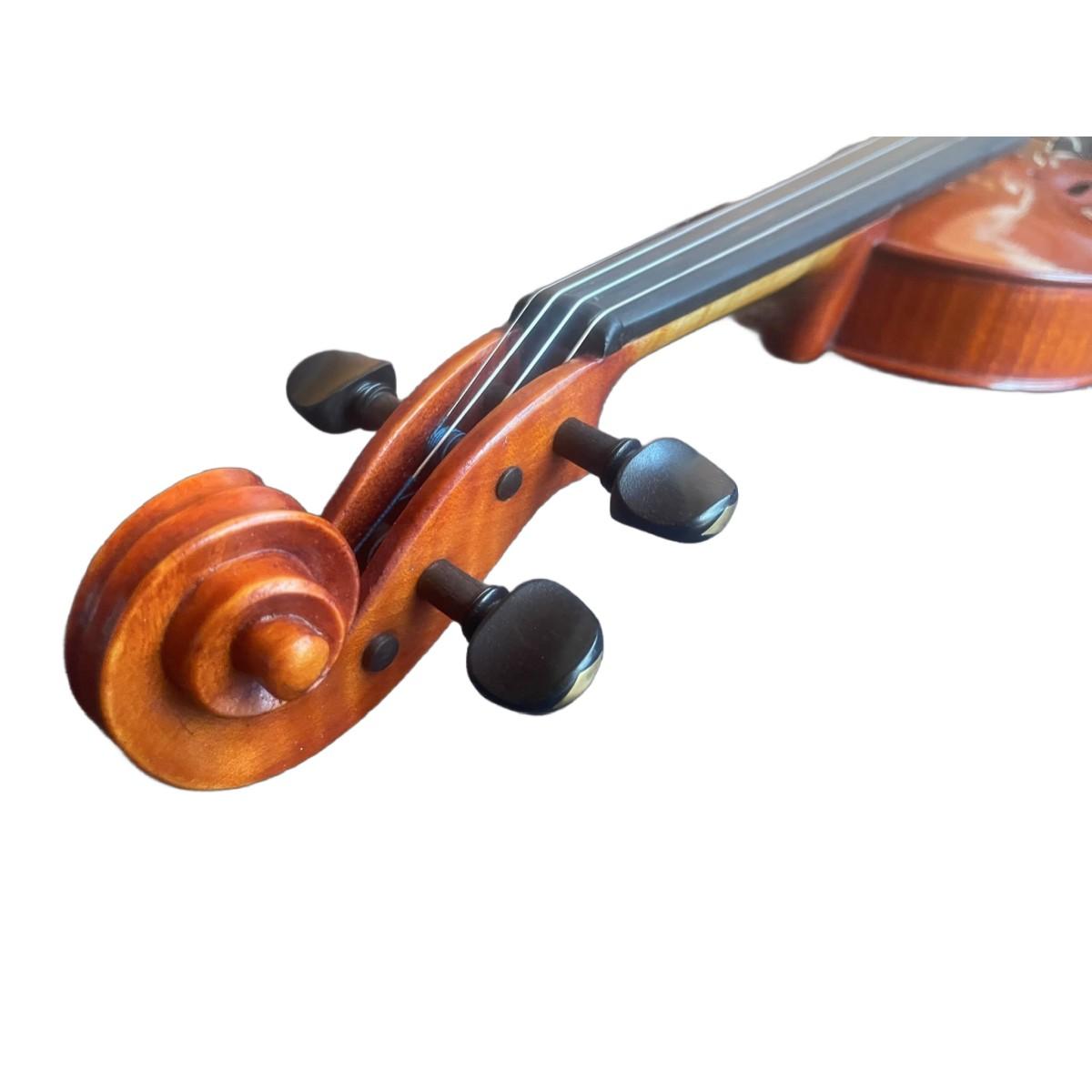 Benito tosello violino liuteria certificato