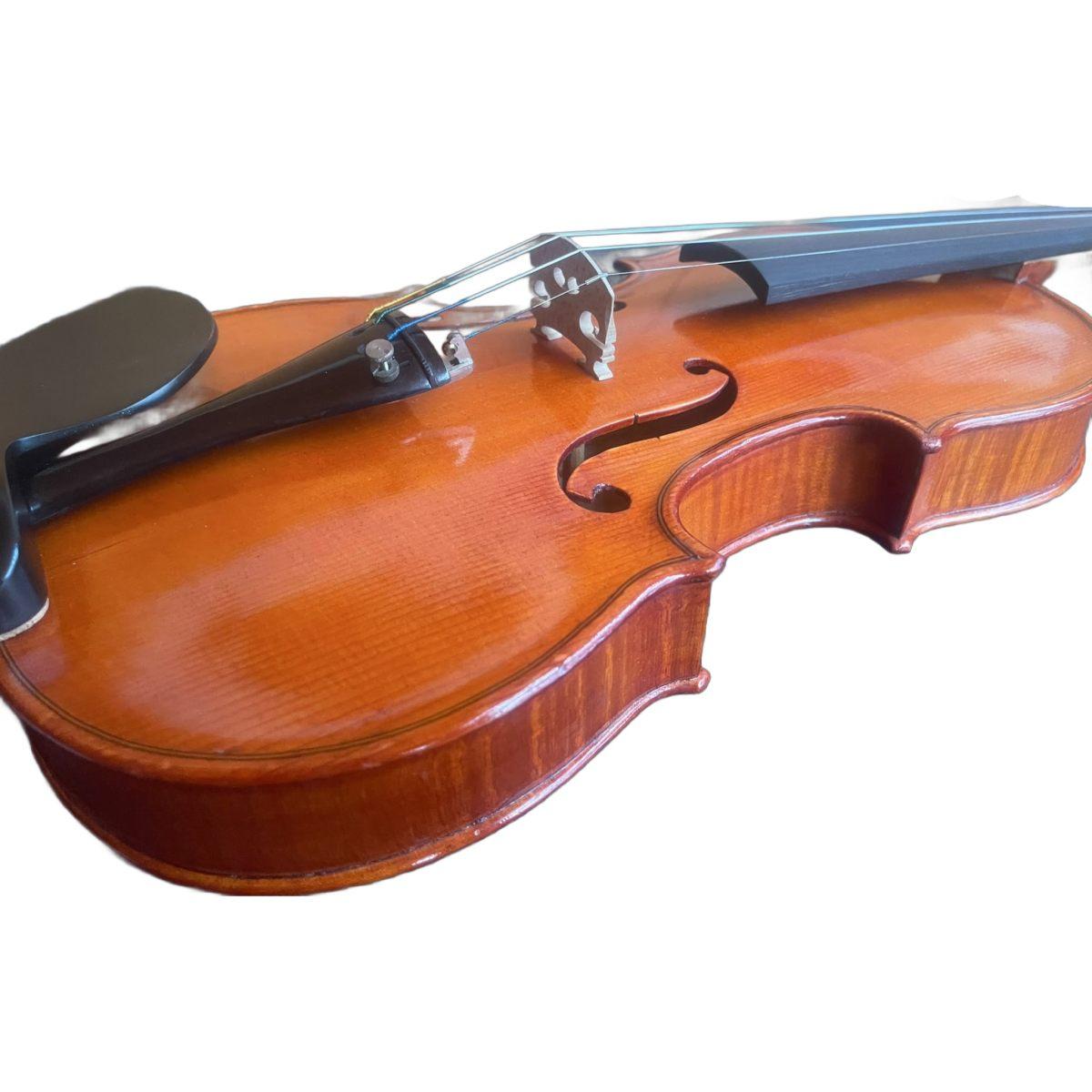 Benito tosello violino liuteria certificato