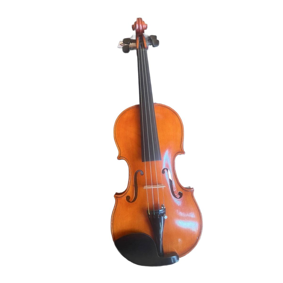 Benito tosello violino liuteria certificato