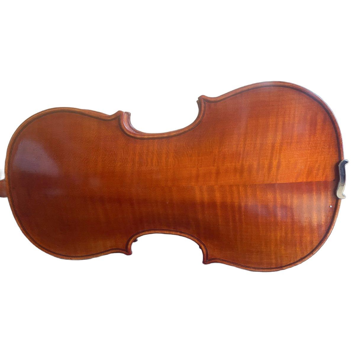 Benito tosello violino liuteria certificato