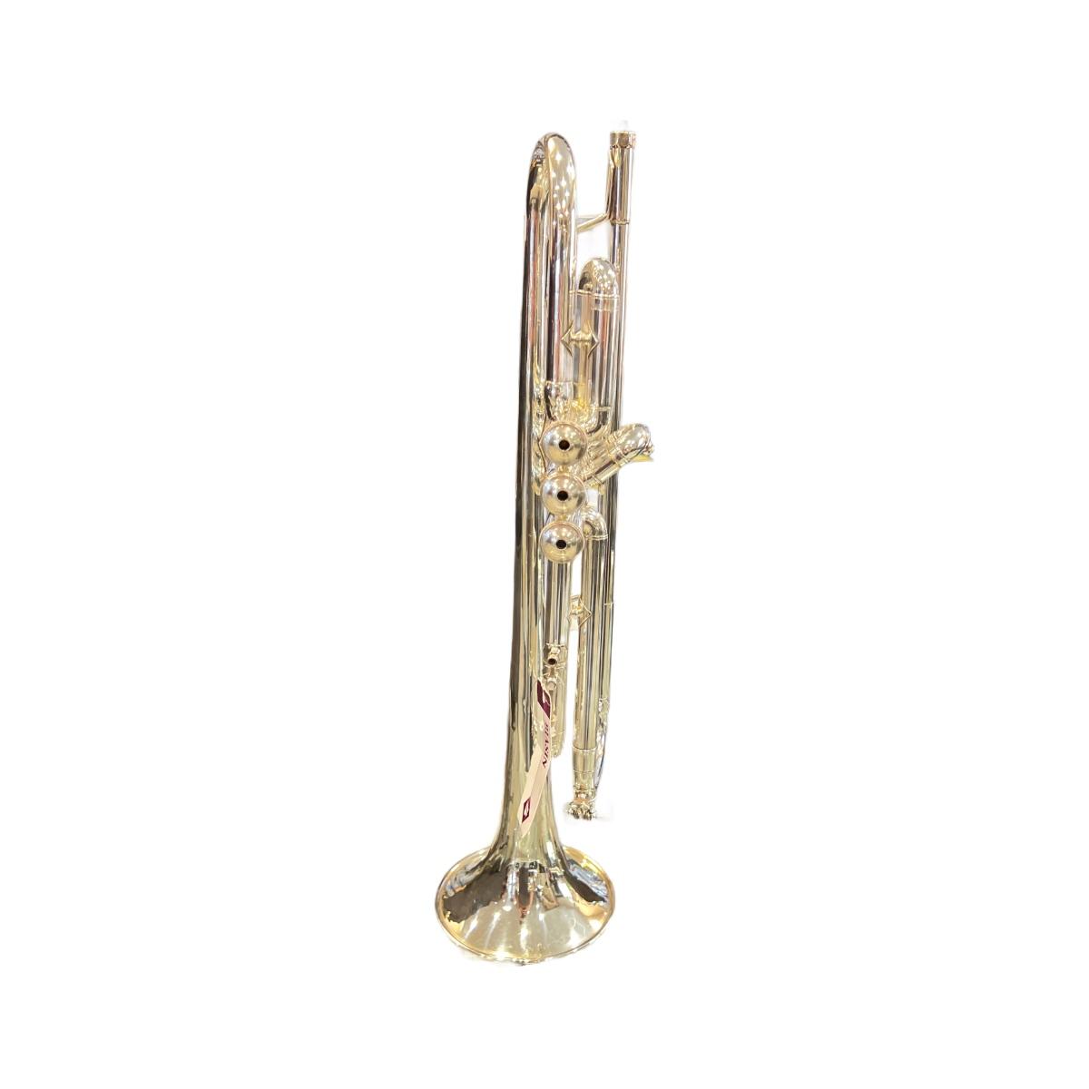 Bach 43 180ml tromba sib silver s.n. 699108 - usato