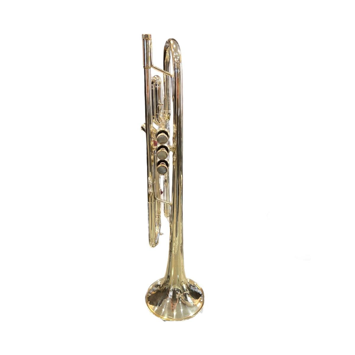 Bach 43 180ml tromba sib silver s.n. 699108 - usato