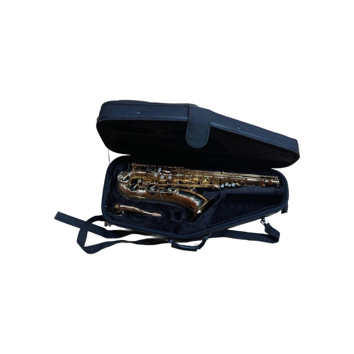 Schagerl t900l sax tenore laccato - usato