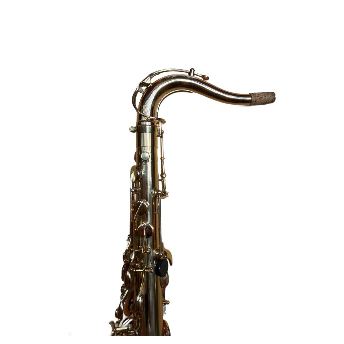 Schagerl t900l sax tenore laccato - usato