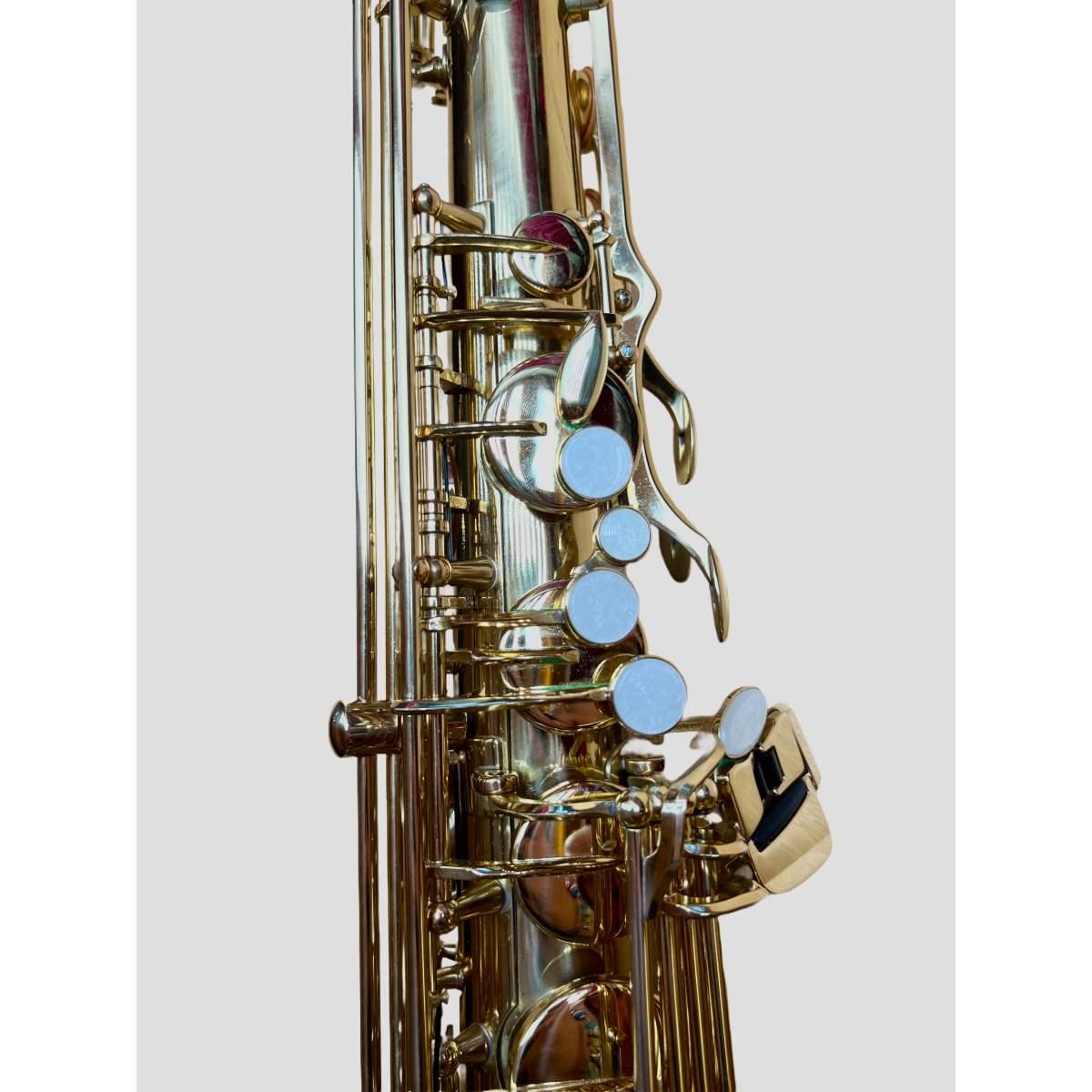 Schagerl t900l sax tenore laccato - usato