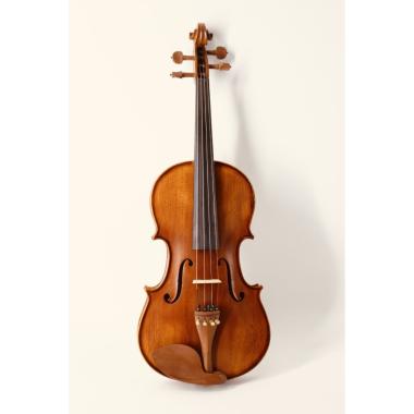PLC MONTEVERDI TL002-2 VIOLA 13"