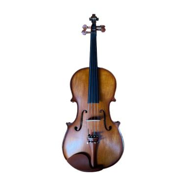 PLC MONTEVERDI TL002-2 VIOLA 16,5"