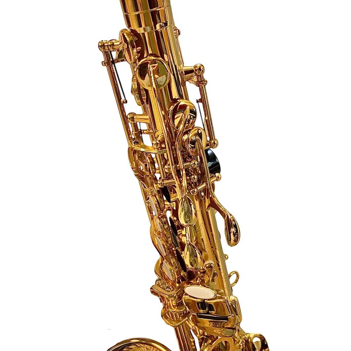 Bbrass evolution alto sax - gold laquered