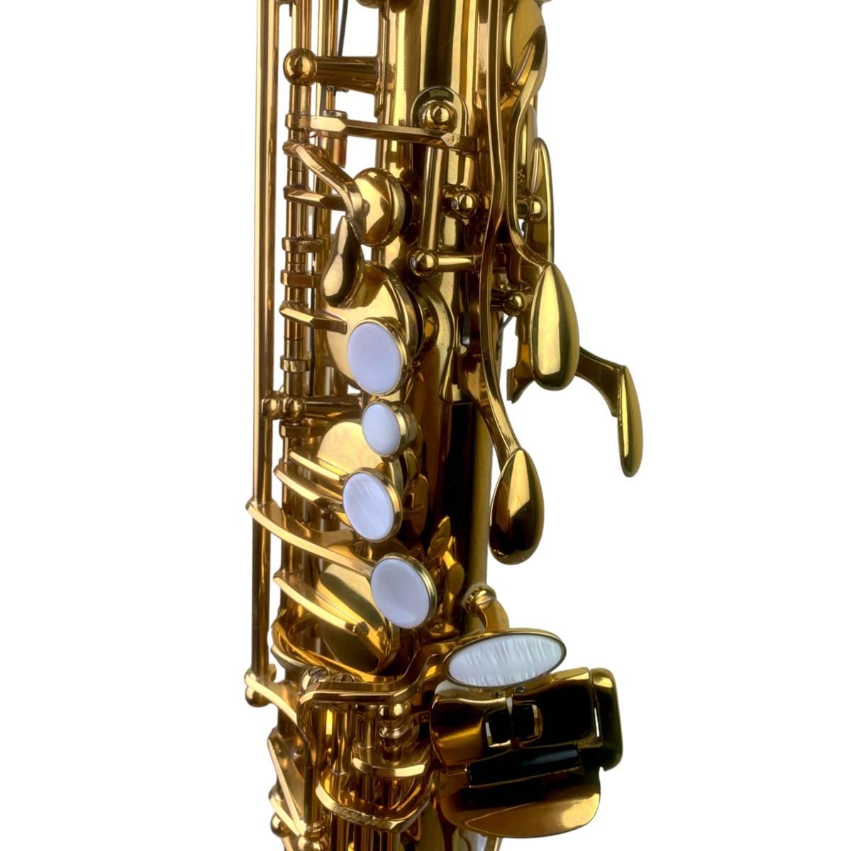 Bbrass s1 evolution alto sax red gold laquered