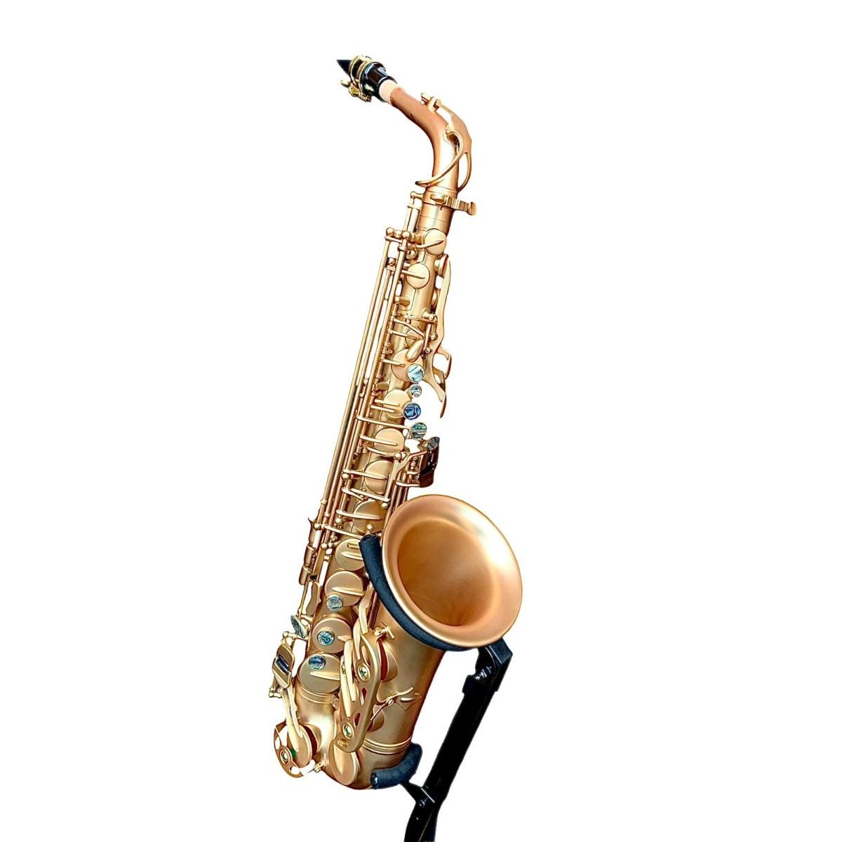 Bbrass evolution sax alto - satin gold